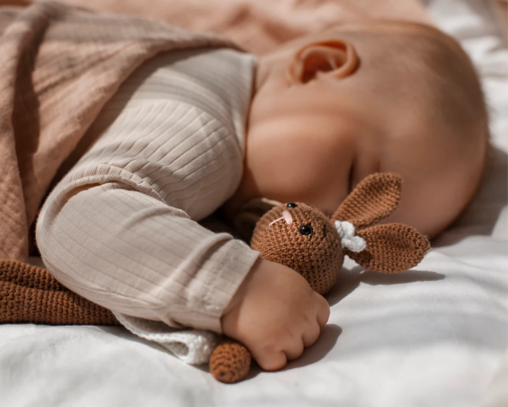 deluxe cradle and swing
