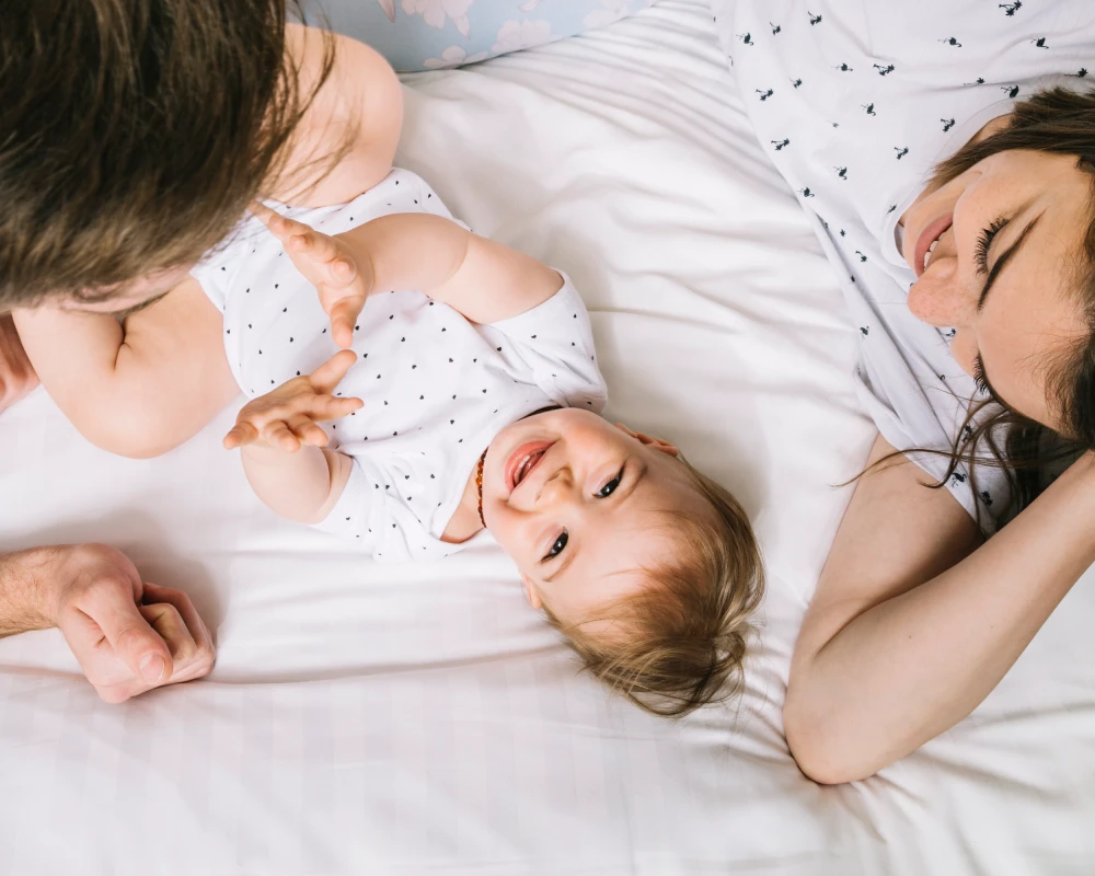 deluxe cradle and swing
