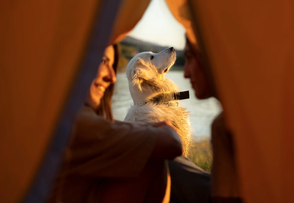 3 man ultralight tent